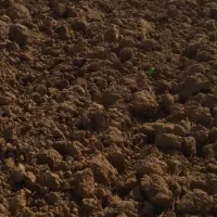 فروش ۳ هزار متر مربع زمین   فقط متری ۳۳۰ هزارتومن