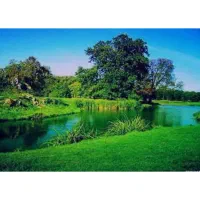 ادیت با کیفیت و سریع