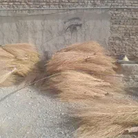 جارو دسته ای ۸۰هزار