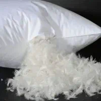 بالش وروبالشتی
