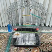 قفس پرنده محکم وضخیم