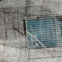 قفس پرنده دو عدد