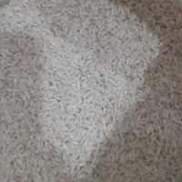 برنج ونیم دانه لیزرشده شوشتر|خوردنی و آشامیدنی|اهواز, کوی فرهنگیان ۱|دیوار