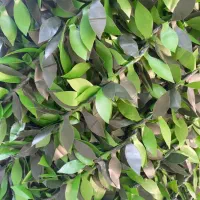 فروش فنس چمنی و فنس برگی زیر قیمت پایه|مصالح و تجهیزات ساختمان|کرج, بازار مصالح ساختمانی|دیوار