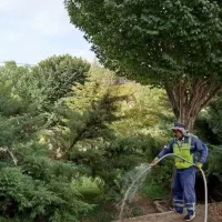 استخدام نیرو فنی مهندسی