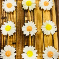 گیفت شیک و دست‌ساز برای عروسی و تولد|صنایع دستی و سایر لوازم تزئینی|میناب, |دیوار