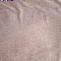 پرده‌ مخمل ورودی