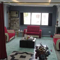 اجاره دفتر کار در گلسار|اجارهٔ دفتر کار، اتاق اداری، مطب|رشت, کاکتوس|دیوار