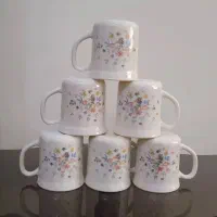 ظروف ارکوپال