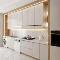 کابینت شرایط ویژه