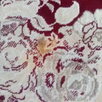 فرش تک 3در4|فرش|نیشابور, ده حلاج|دیوار