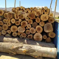 چوب|خدمات باغبانی و درختکاری|کوهنانی, |دیوار