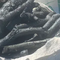 خریدوفروش ذغال کبابی