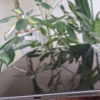 آیپد ایر ۲۰۲۴ ۱۱ اینچ ۲۵۶ گیگ