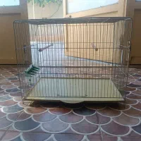 قفسه جوجه مرغ