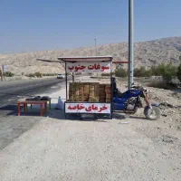 قصب قسب ریزه خرما زاهدی اجیلی