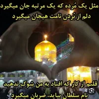 تور زیارتی بهشت رضا