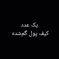 مدارک گمشده