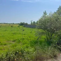 زمین مسکونی و جای آب هوای خوب|فروش زمین و ملک کلنگی|تولم شهر, |دیوار