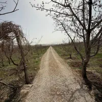 باغ‌زمین‌۳۹۰متری‌جابان‌دماوند‌شهرکی‌اقساط‌سنددار