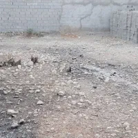 زمین|فروش زمین و ملک کلنگی|تخت, |دیوار