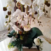 گل زیبا