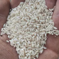 برنج جلب هاشمی . قلوه برنج