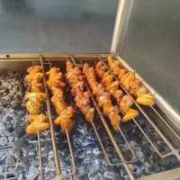 فر پاچینی گازی زغال سنگی