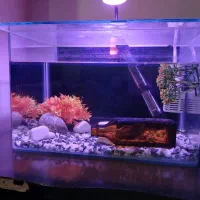 آکواریوم با وسایل کامل