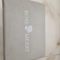 کفش مجلسی زنانه