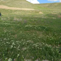 زمین-2500-متری-زراعی-کنارآب-مسیر-نیم-ساعته