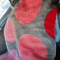 پتو یک نفره|رختخواب، بالش، پتو|بجنورد, |دیوار