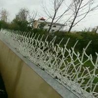 حفظ شاخ گوزنی