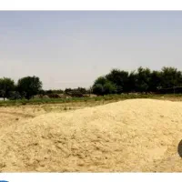 کاه دیم گندم مرغوب