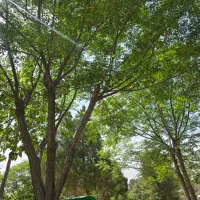 زمین گلخانه و باغ