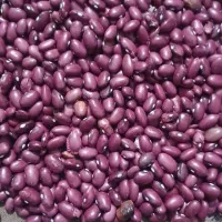 لوبیا قرمز|خوردنی و آشامیدنی|درودزن, |دیوار