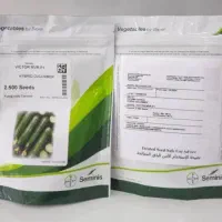 بذر خیار ویکتور