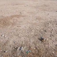 120 متر زمین سه راهی گتوند