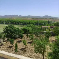 باغ-پنج-کیلومتری-تخت-جمشید