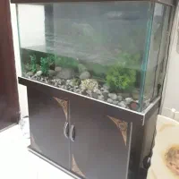 اکواریوم کمد دار