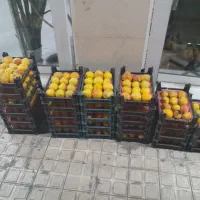 گلابی درگزی