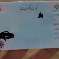 گم شدن مدارک