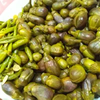 ترشی شکم پر خوشمزه