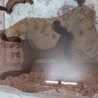 میز جلو مبلی