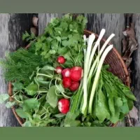 سبزی فروشی معین در رشت|خوردنی و آشامیدنی|رشت, دیانتی|دیوار