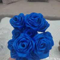 دکوری|مجسمه، تندیس، ماکت|مشهد, یاس|دیوار