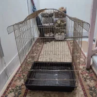 قفس بزرگ طوطی و ...