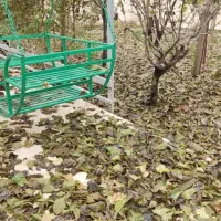 ویلاباغ کوشکک آشتیان (بدون قطعی آب)|فروش خانه و ویلا|تهران, خلیج فارس|دیوار