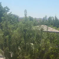 باغ شهری سنددار با ۱۳۰ متر بنا کودیان