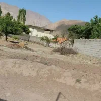 فروش-زمین-هزارمتری-باغات-فاتحی